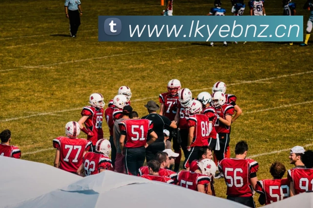 星空体育首页官网发展历程